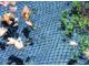 Cover Net – VT