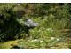 Garden Stream